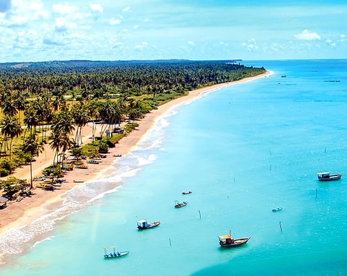 a beach with boats and palm trees in the background