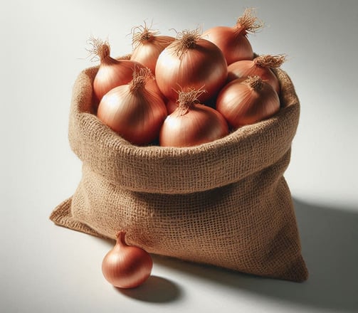 Onion for international export from India