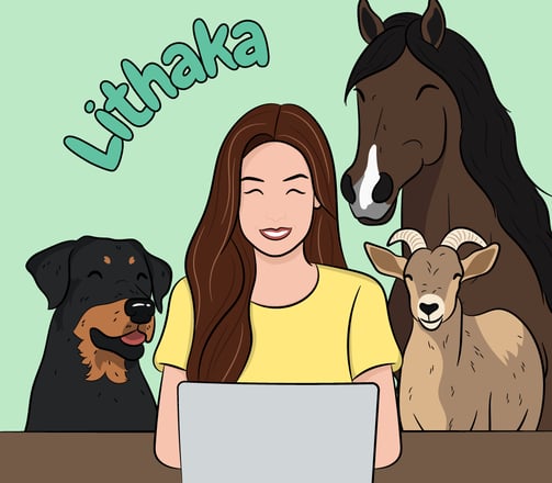 illustration de Lithaka avec un cheval, un chien et une petite chèvre