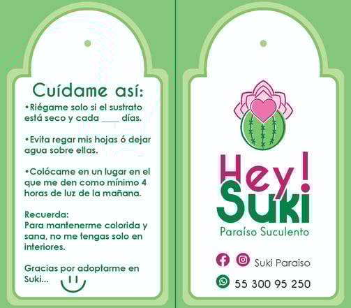 Desarrollo de nombre para productos florales , logotipo, tarjetas y etiquetas de producto