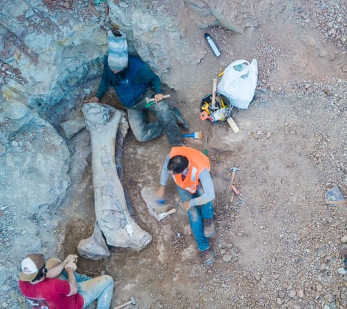 a group of people standing around a group of people