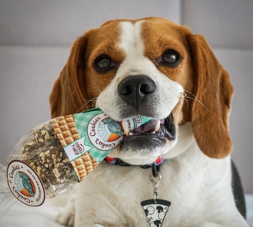 Friandises naturels pour chien