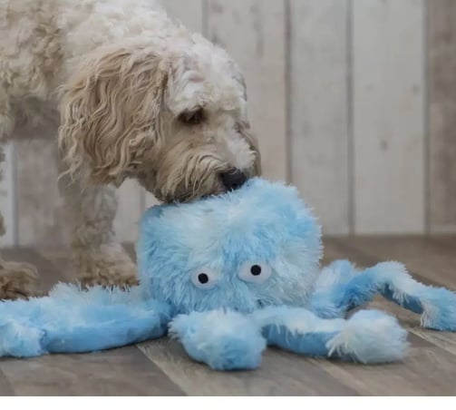 peluches pour chien