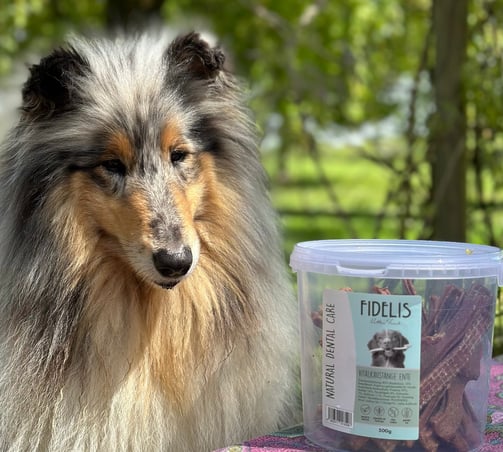 bâtonnets à mâcher pour chien