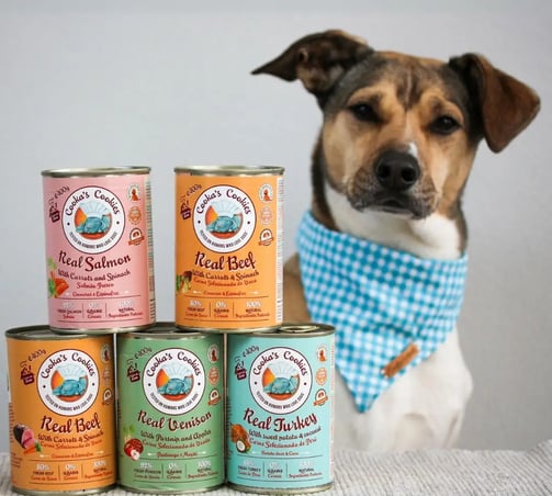 nourriture humide pour chien