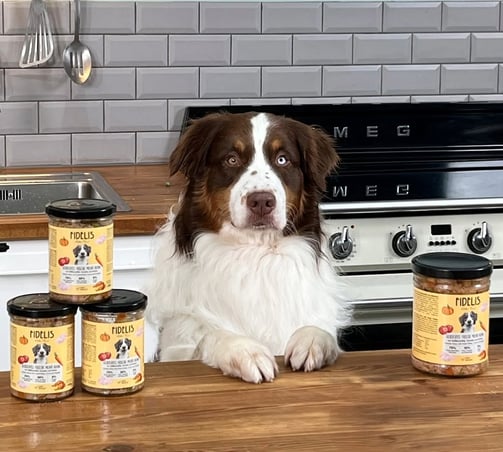 menus cuisinés pour chien