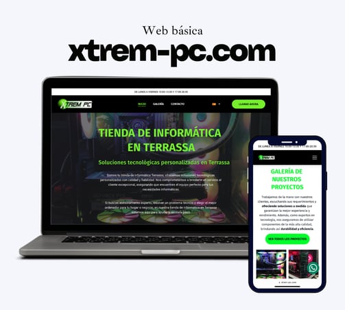 web basica terrassa