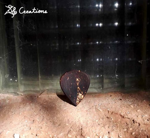 One of our Jazz coconut shell guitar picks in front of a glass brick window.