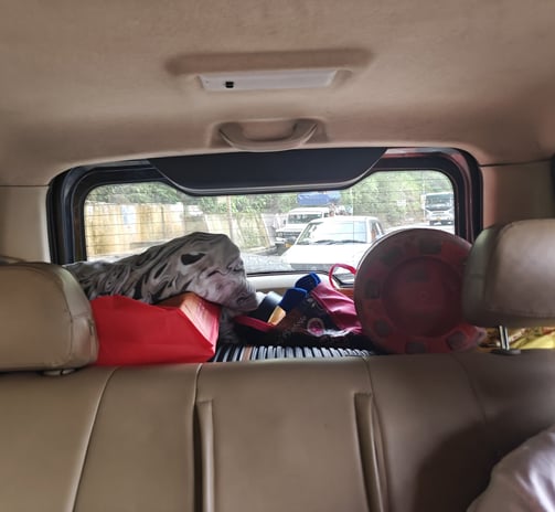 Travel