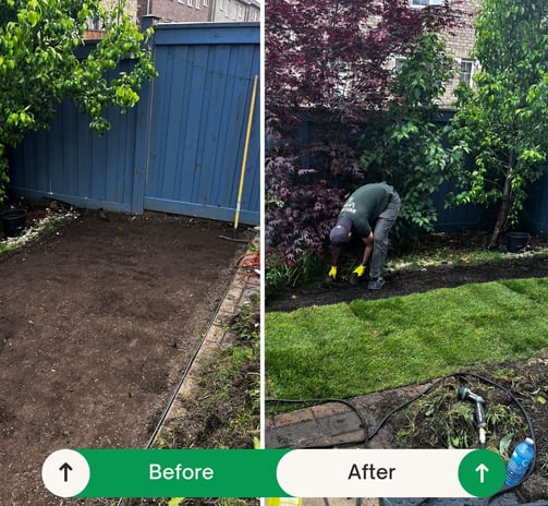 Fresh sod installed in Mississauga backyard – Smiling Lawn