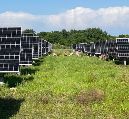 a field of solar panels with solar panels