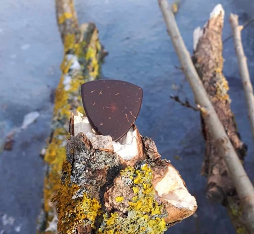 One of our Pythagorean coconut shell guitar picks on a broken branch sticking out of a frozen pond.