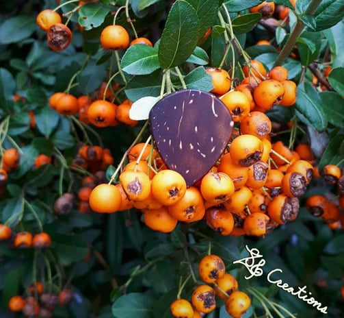 One of our Jumbo Jazz coconut shell guitar picks with a bunch of Firethorn berries.