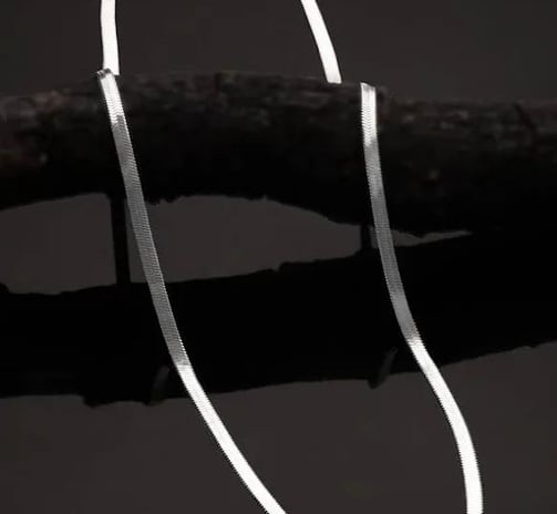 a silver necklace with a snake skin chain and a silver chain