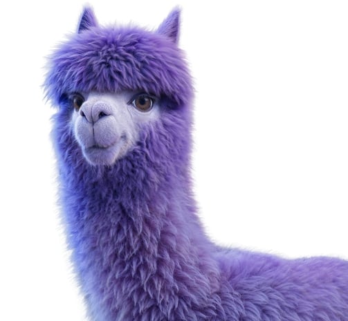 Violet Llama
