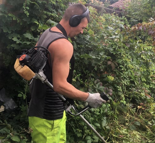 member of staff at that garden guy strimming a hedge