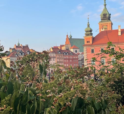 Specjaliści od Zamku Królewskiego i Jego Ogrodów. Zapraszamy na spacery z Naturą Miasta!