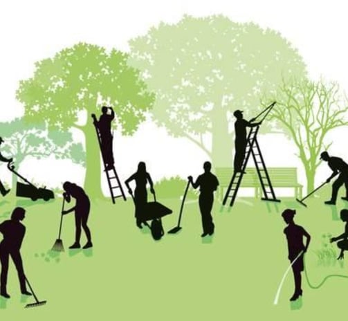 www.neuegartenpflege.com