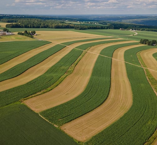 a large field with a farm and a farm in the background