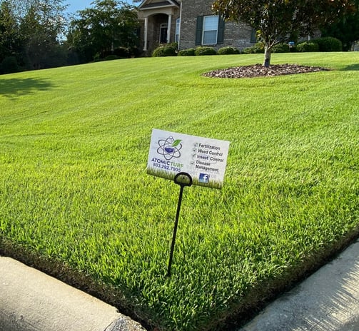 Request a free quote