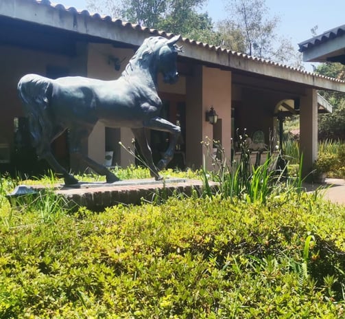 a statue of a horse in a garden