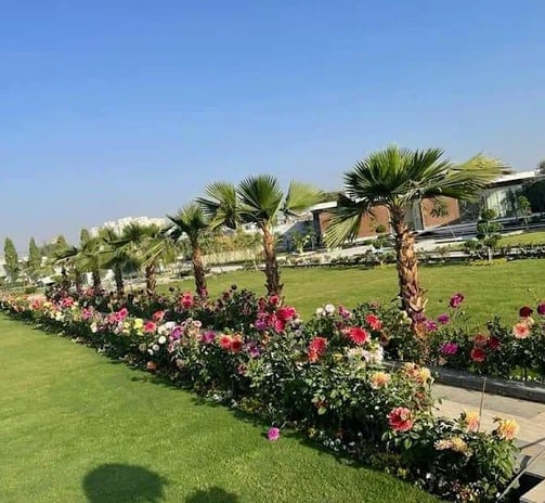 Urban green wall system promoting environmental sustainability