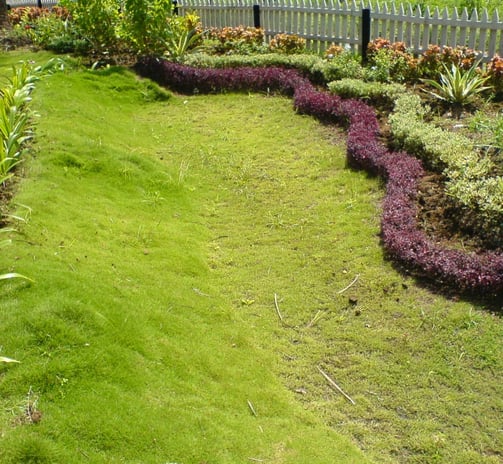 Eco-friendly vertical garden installation by Urbanspike Agro Fresh Pvt Ltd
