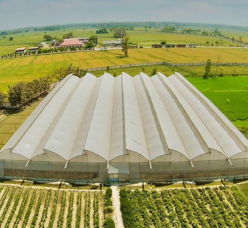 Sustainable rooftop farming project under protected cultivation