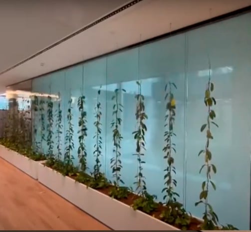 Electrochromic glass. Advantages of converting transparent glass into opaque glass with a simple cli