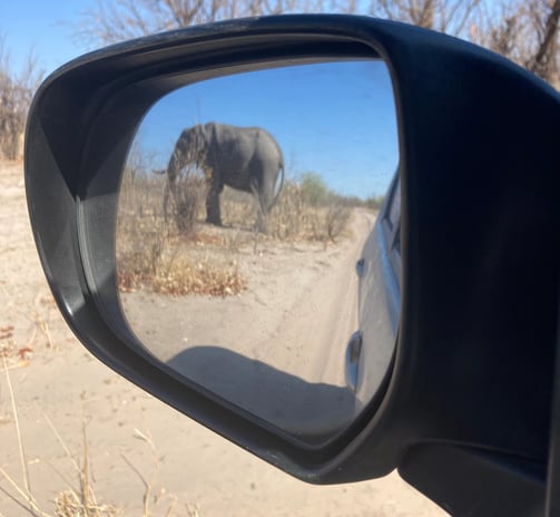elephant in rearview mirror of camper