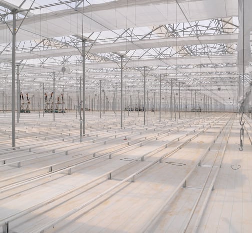 Greenhouse