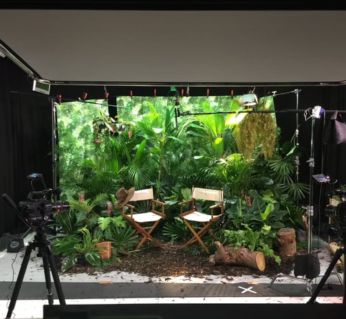 jungle set in green screen studio