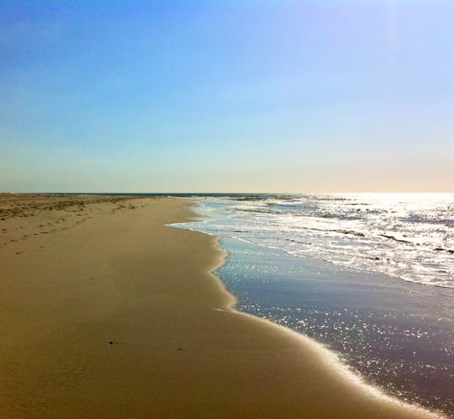 Tweede Maasvlakte