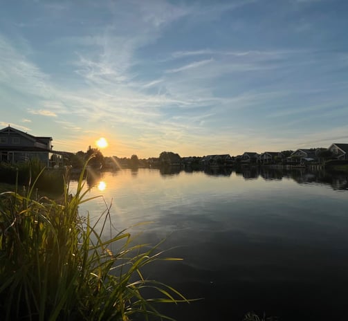 a sunset over a lake with houses, Zuytland-Buiten Simonshaven, Zuid-Holland