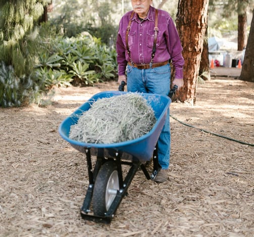 a strong elderly man man in a cowboy hat and a wheelbarrow