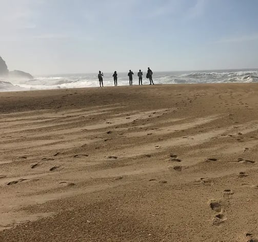 des personnes d'une entreprise ensemble sur la plage qui regardent la mer