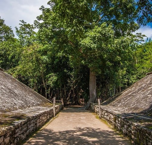 Tour Tortugas Coba Cenote desde Cancún