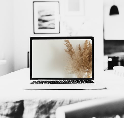 desk top computer showing pampass grass