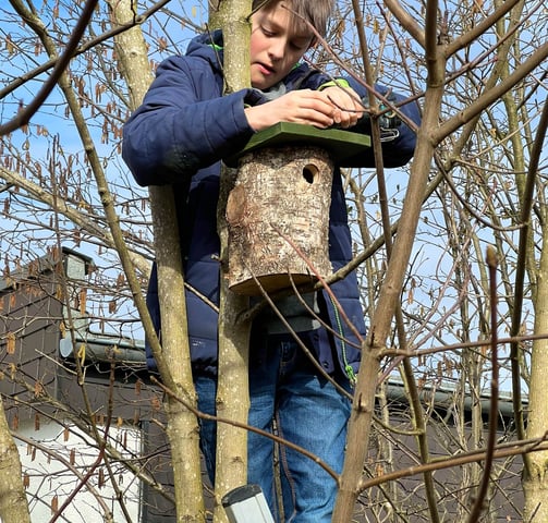 Philipp Geisler hängt einen Vogelnistkasten auf