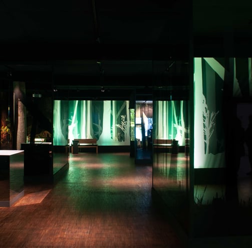 Ausstellung Nationalpark Tor Erbeskopf