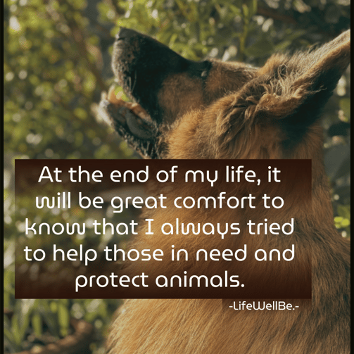 a dog with a quote about animals