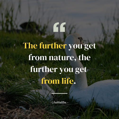 a swan with a quote about nature