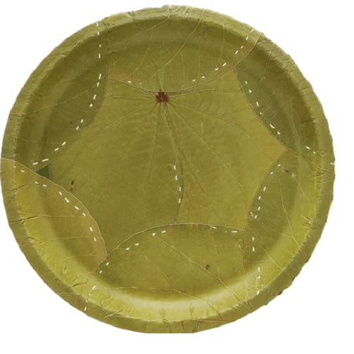 Sal Leaf Eco Friendly Disposable Plates Near Me Sal Leaf Plate