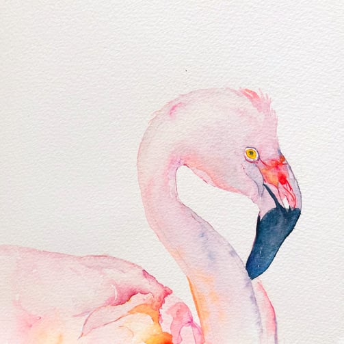 graceful pale pink flamingo watercolour