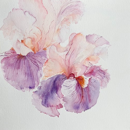 Pearlescent Blush Iris Flowers Watercolour | Weronika Kacperski