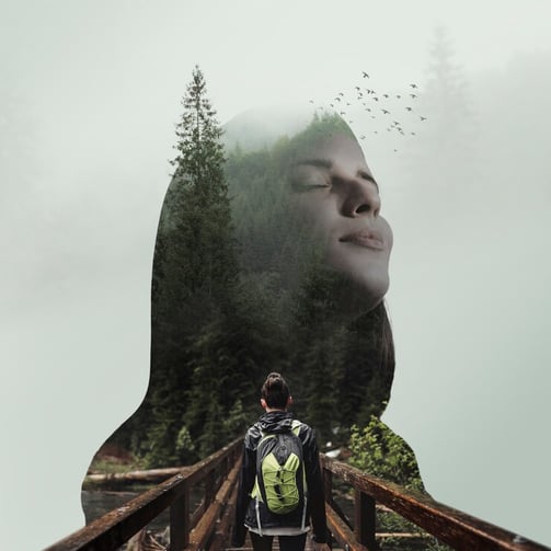 creative-composition-photo-creative-layouts