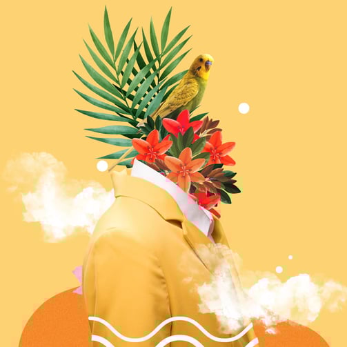 creative composition