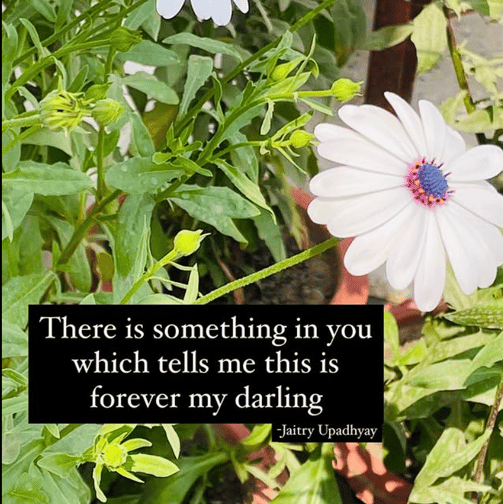 A close-up of a blooming white flower with an English quote by Jaitry about love and forever.