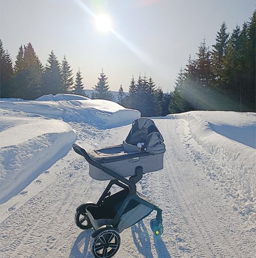 Kudikis vėžimėlyje Norvegijos kalnuose