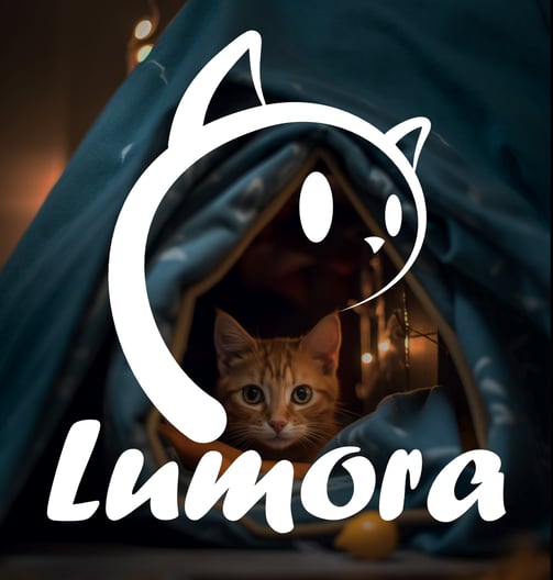 lumora logo mockup